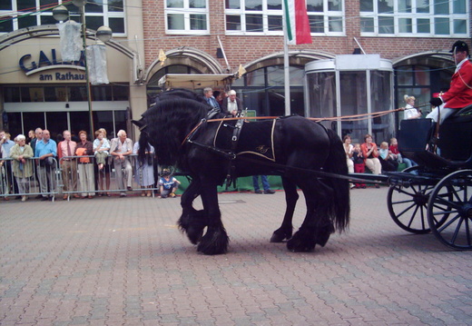 23793 Bilder Schützenfest2004 062